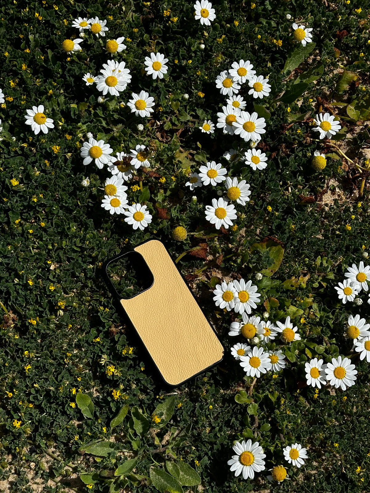 כיסוי לאייפון MagSafe צהוב וניל קלאסי